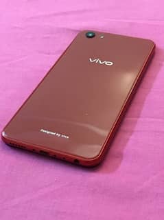 Vivo