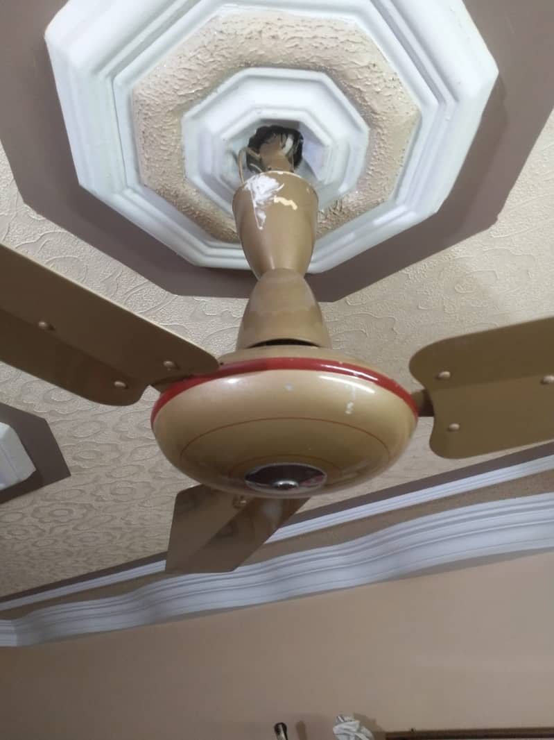 Ceiling Fans (8) پنکھے (pankhay) 6