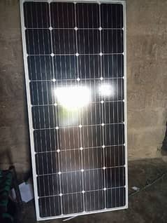 Lino 170 Watts Solar Panel for sale