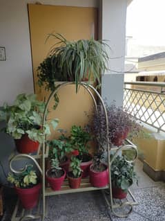 Home decor plants stand