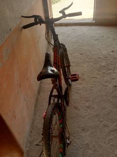 Roma bike