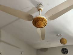 ceiling glorious fan