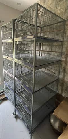Bird Cage 5 portion for sale