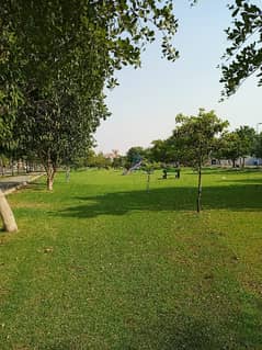 8 Marla facing park D block near main jatii umrah in trance hot location