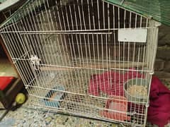 3 cages for sale