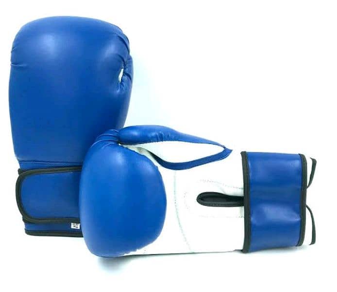 Boxing Punching Bag + Boxing Gloves 1