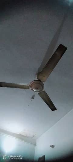 56 inch celling fan