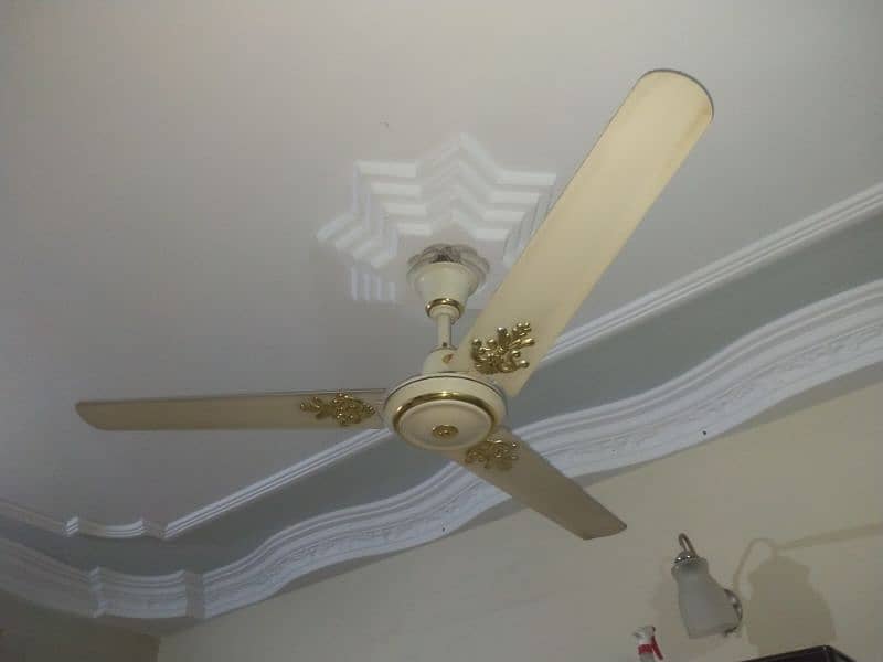 ceiling fan 5