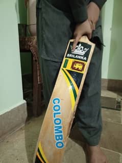 Sri Lanka Colombo bat