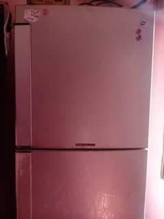 Pel Desire Refrigerator
