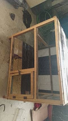 Cage for Sale: Perfect for Murgha and Murghi"