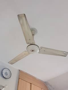 56" ceiling fan