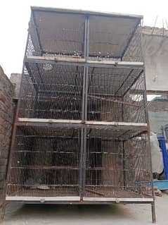 cage 6portion