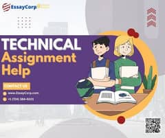 Need Individuals who can cater technical IT assignments