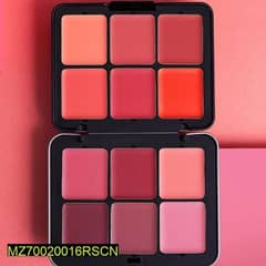 12 in 1 blush palette