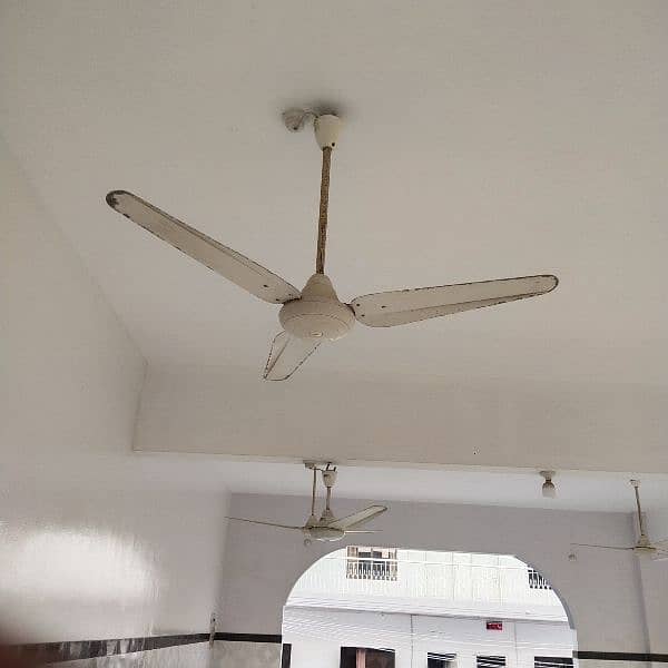 Ceiling and Bolan fan 3