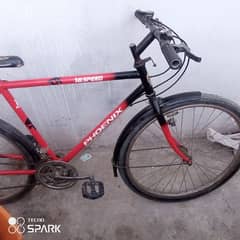 Phoenix bicycle for sale