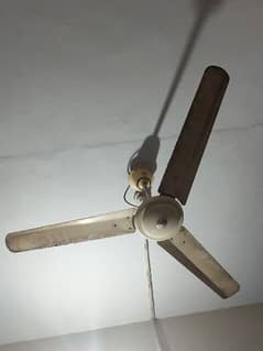 pak fan in very good condition in reasonable price