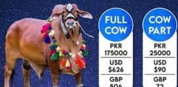 Qurabani hisa for donations Goat 30,000 cow per share 25000