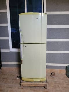 PEL Refrigerator Full Size