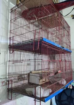 cages for parrots pigeon hen aseel love bird finch