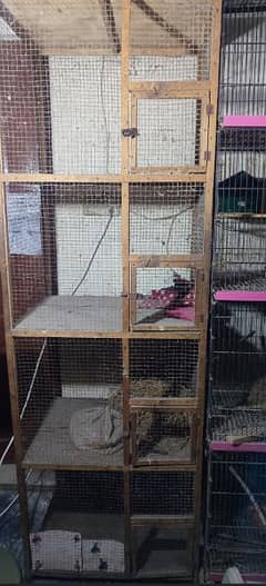 cages for parrots pigeon hen aseel love bird finch