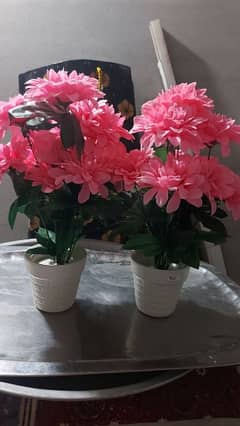 fake flowers with pot *price Kam*