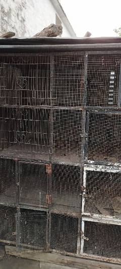 Very big size cage is available