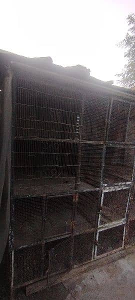 Very big size cage is available 8