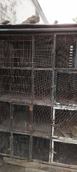 Very big size cage is available 9