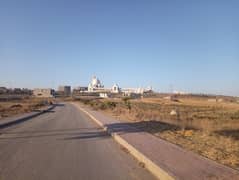 Precinct 8,250 square yard ,best location,ready plot available for sale in Bahria Town Karachi