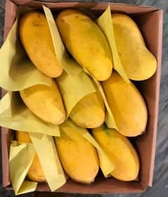 royal sindhri mango
