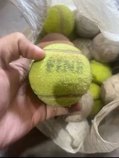 cricket rubber balls