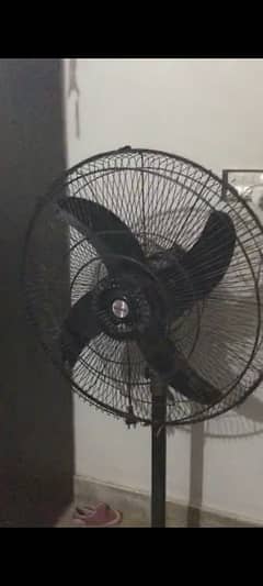 new like pedestal fan urgent sell 0