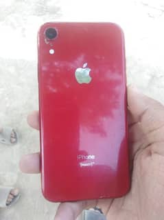 iphone xr non pta waterpack 03126802369