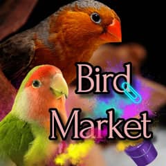 bird market join sell & Pr cashing