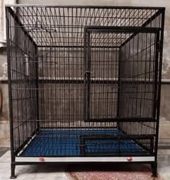 African, Raw parrots breeding cage