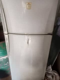 Dowlance full size Frige for sale
