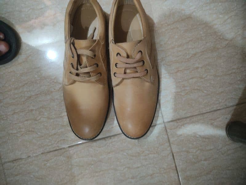 Urban sole - Pierre cardin shoes brand new unused 1