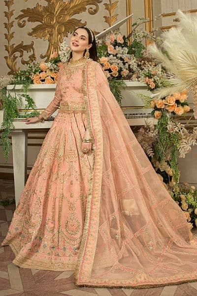 Bridal wear/ walima wear/ engagement wear 2