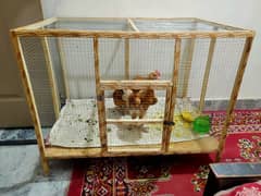 Cage pinjra for sale