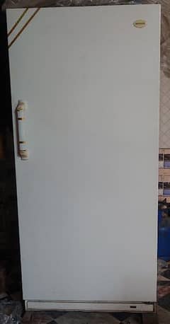 Made in USA super jumbo no frost vertical freezer