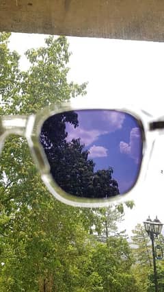 Dita Sunglasses (Polarized) Original
