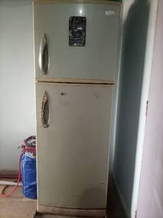 SG fridge