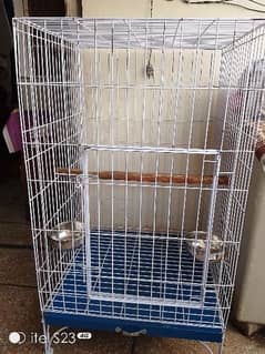 Grey Parrot full size cage