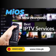 IP TV services and Whats app marketing or CANVA PRO