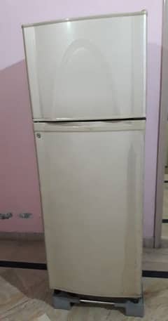 Dawalene 14 CF refrigerator 0