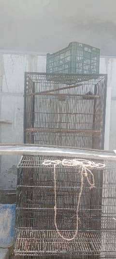 cage 8