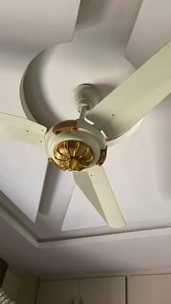 Ceileing Fans 56" For Sale 0