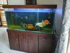 12mm glass aquarium, cabinet, decorations, filters, gravel & fish